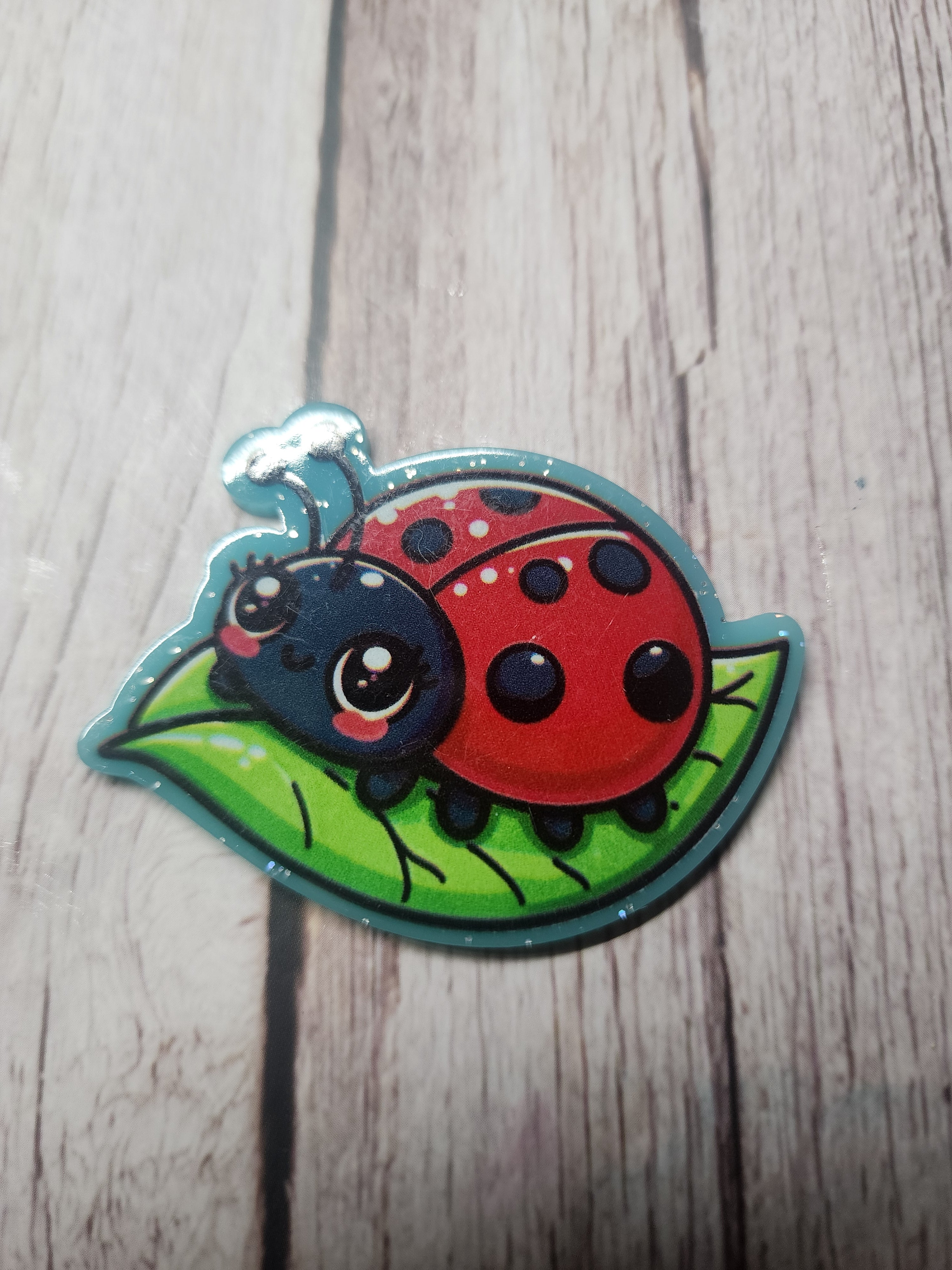 Ladybug