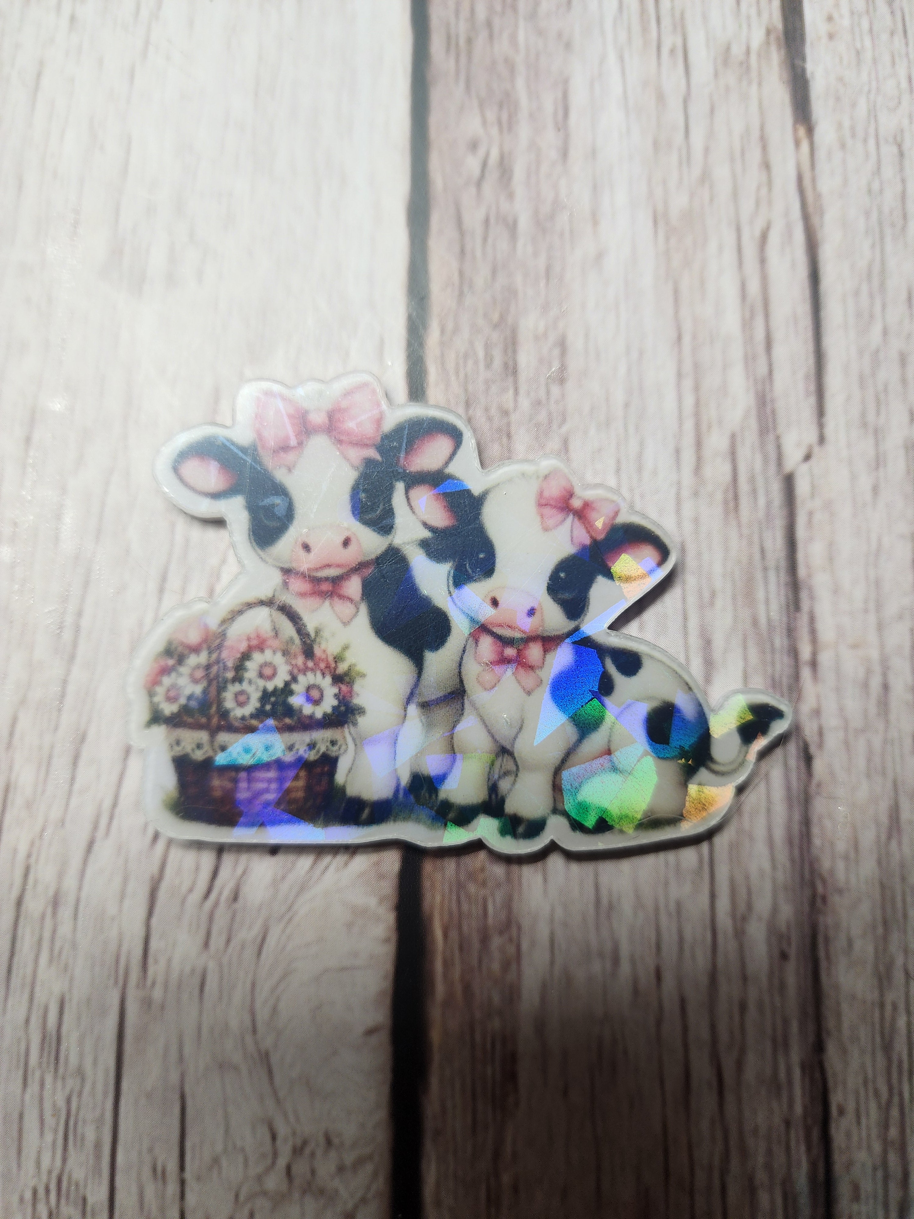Cows