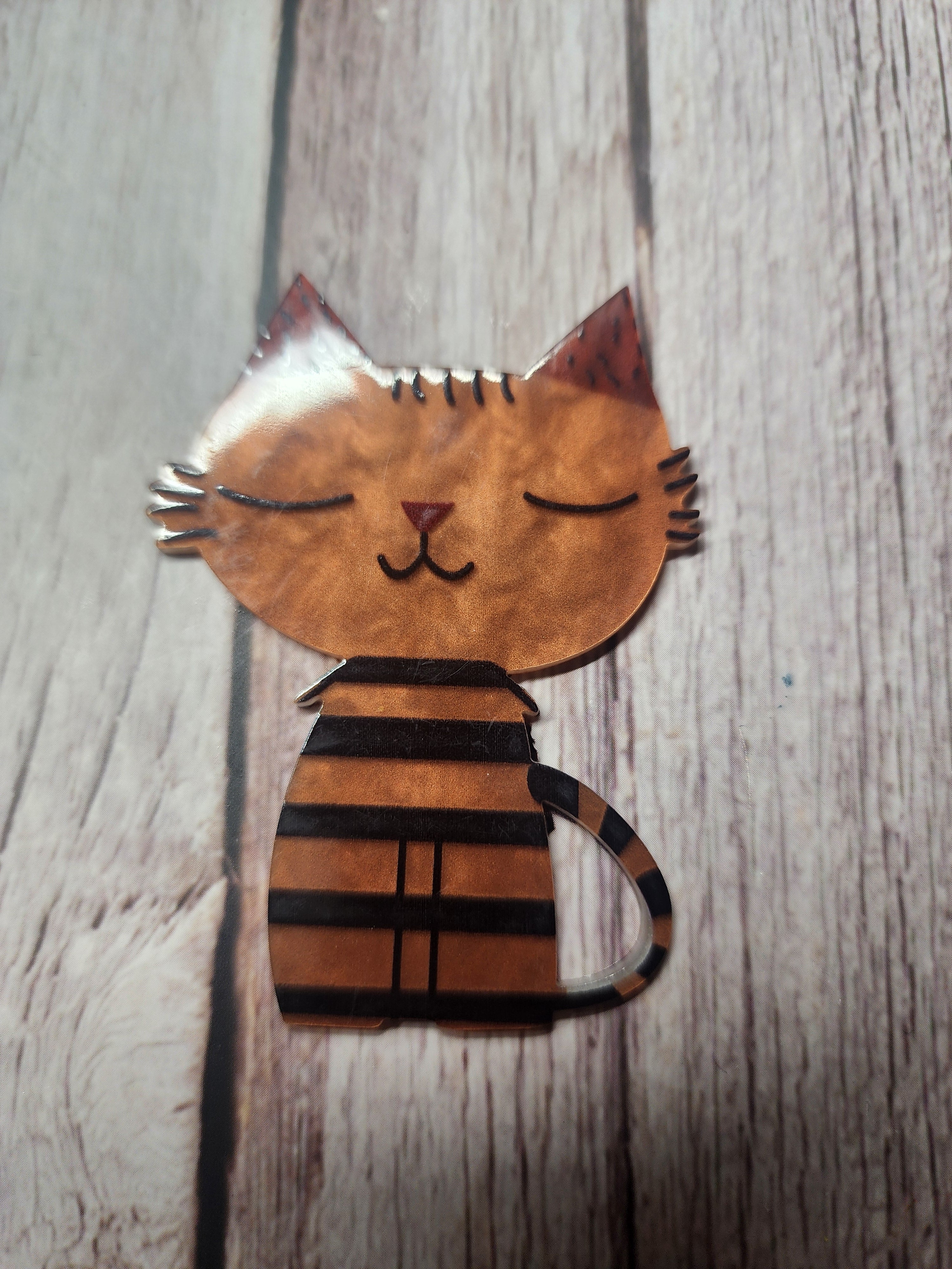 Large Orange Cat