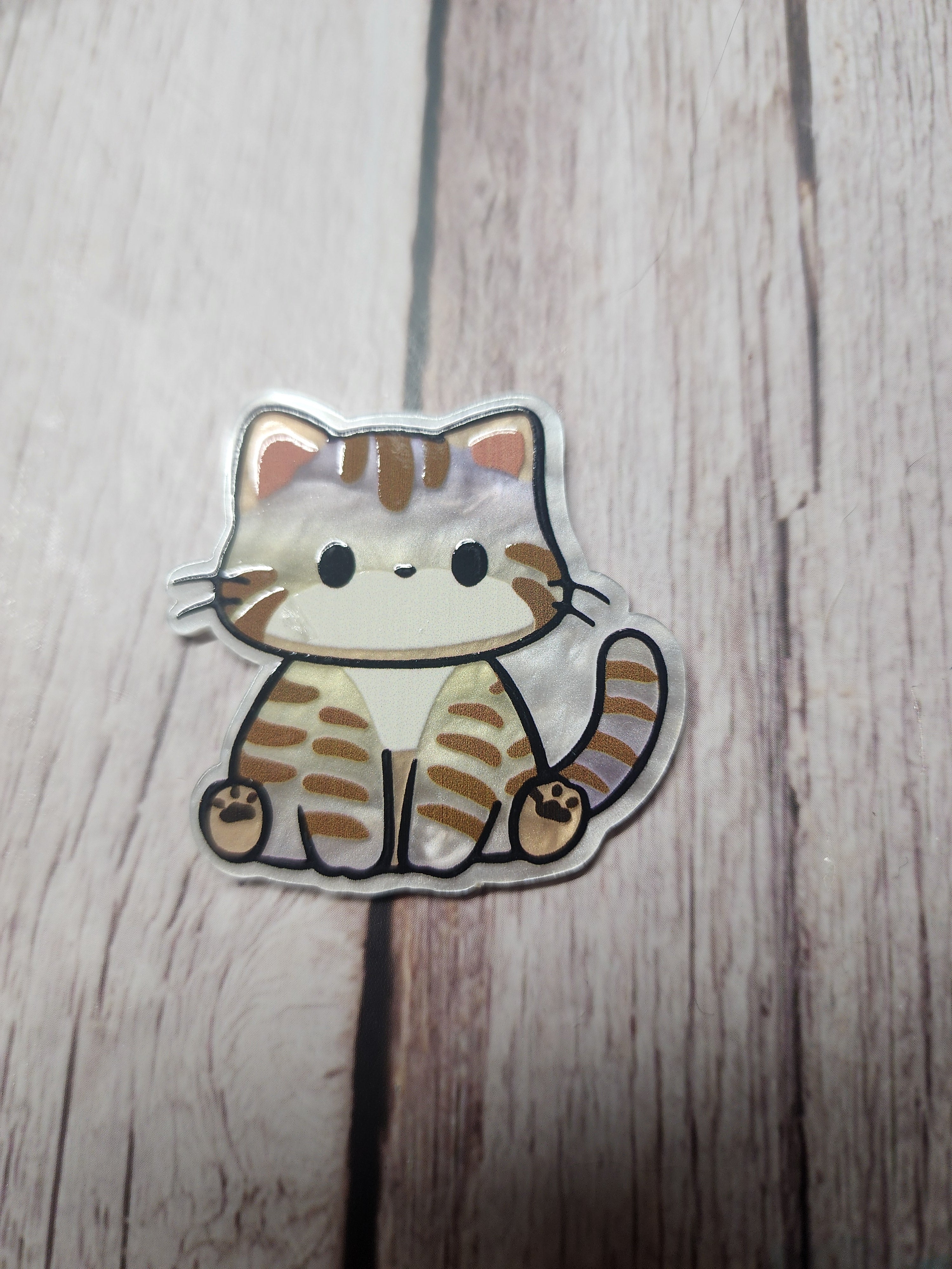 Striped Kitten