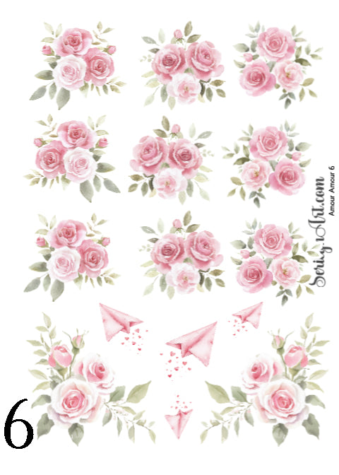 Amour Amour Collection