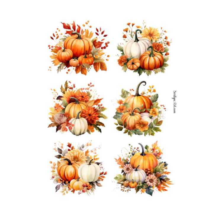Autumn Pumpkins Sticker Sheet