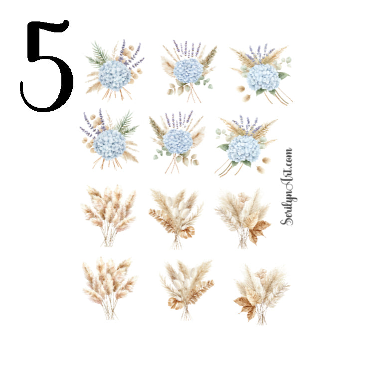 Autumn Shore Collection