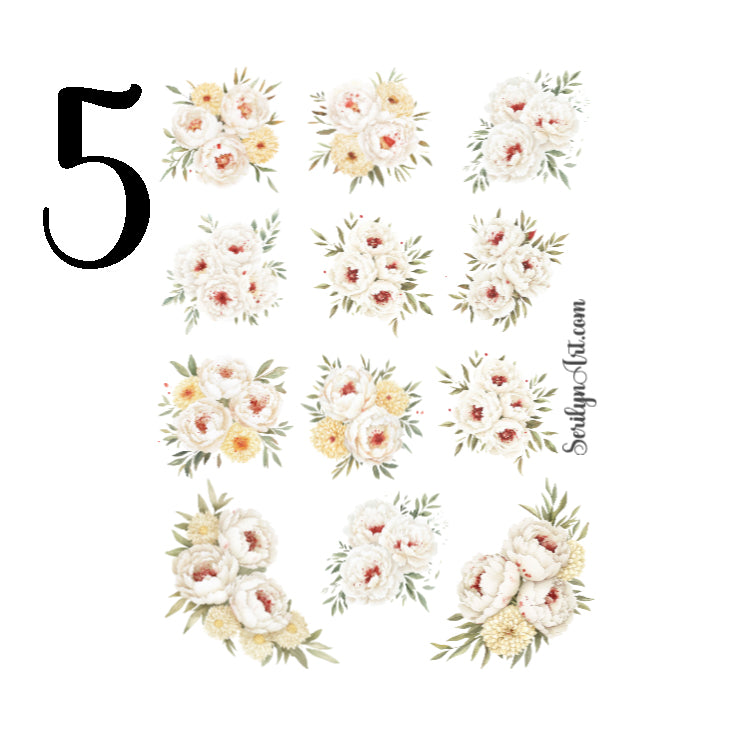 Bad Housewife Collection