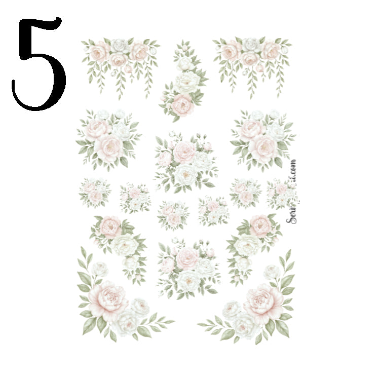 Ballet Grace Collection