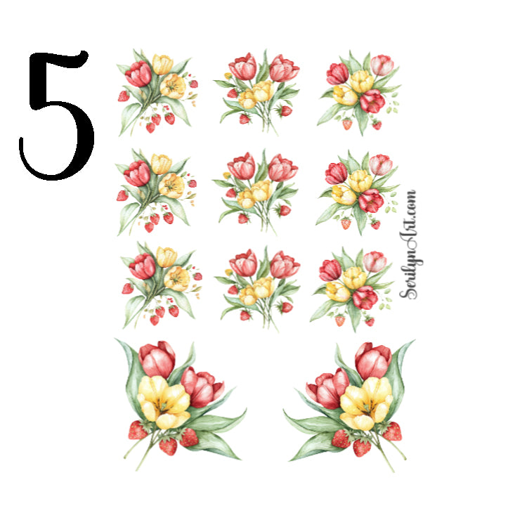 Berry Spring Collection