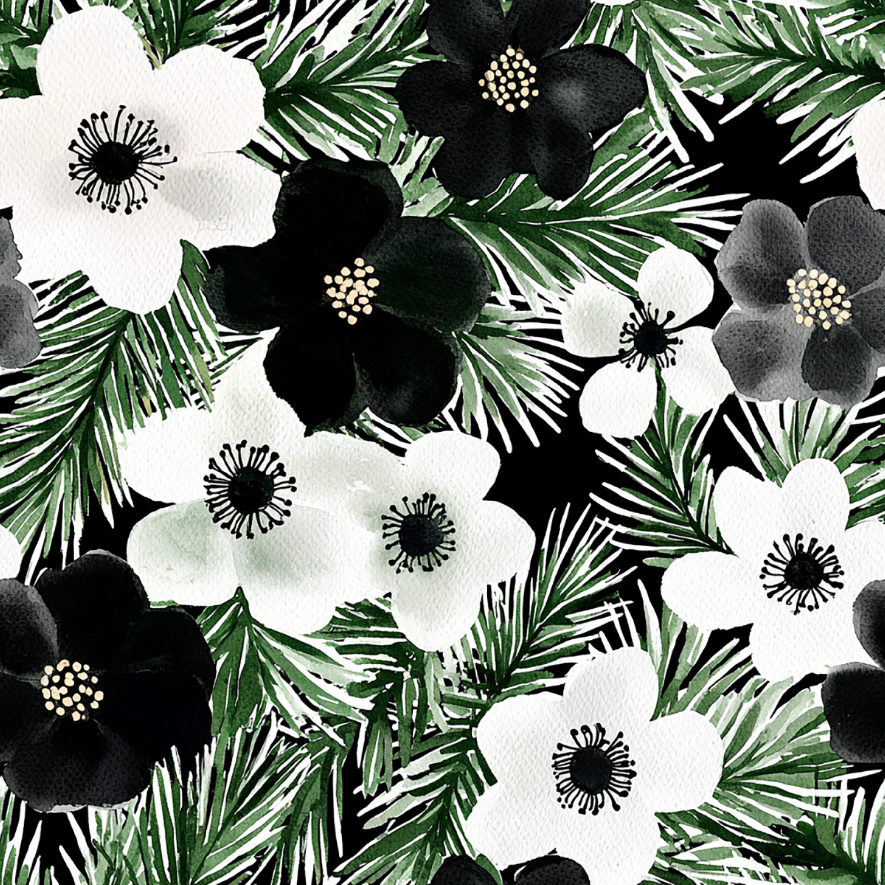 Black and White Holiday Collection