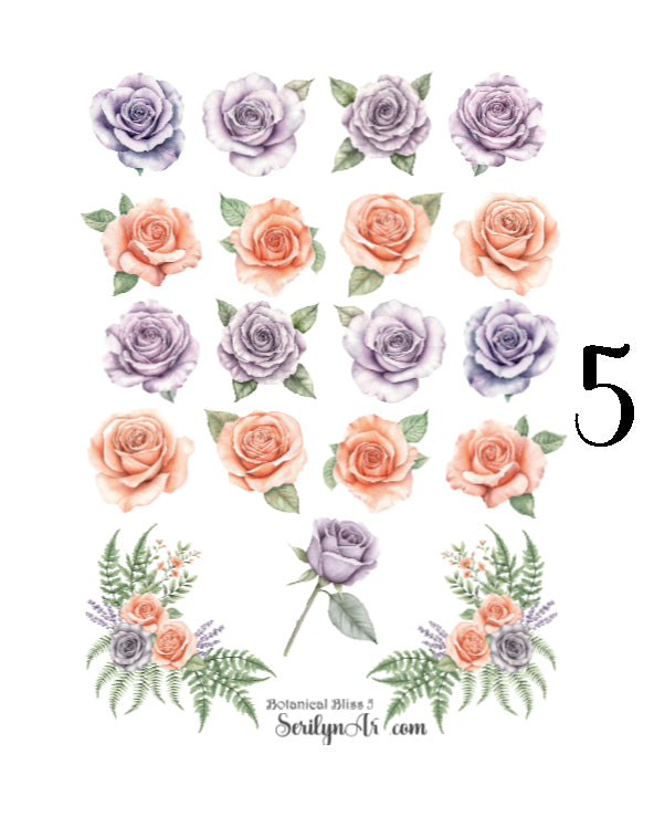 Botanical Bliss Collection