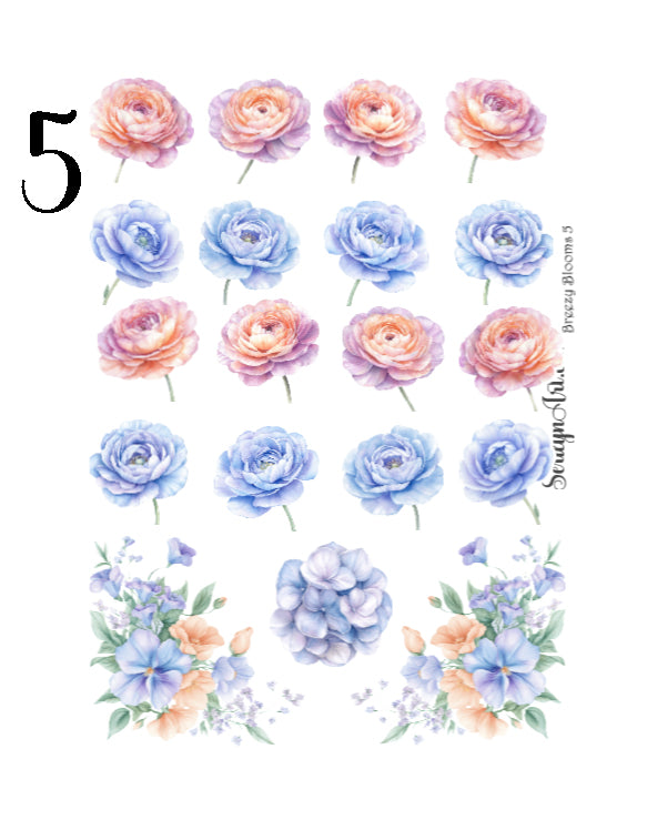 Breezy Blooms Collection