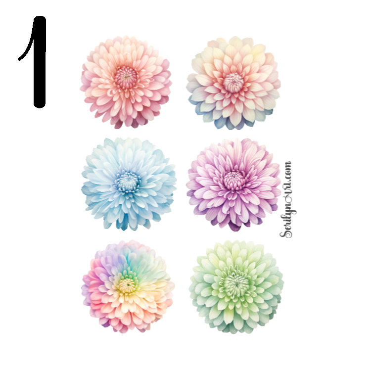Chrysanthemums Sticker Sheet