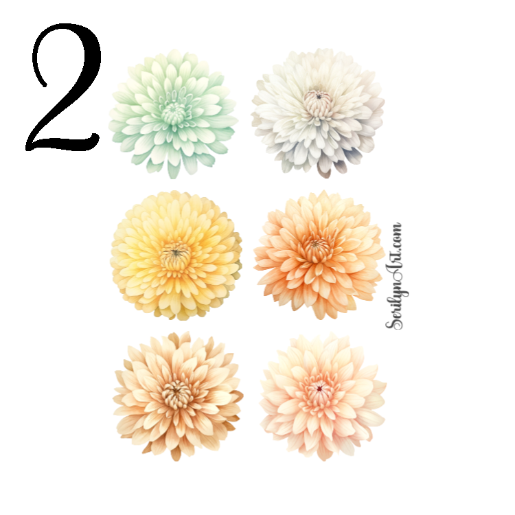 Chrysanthemums Sticker Sheet