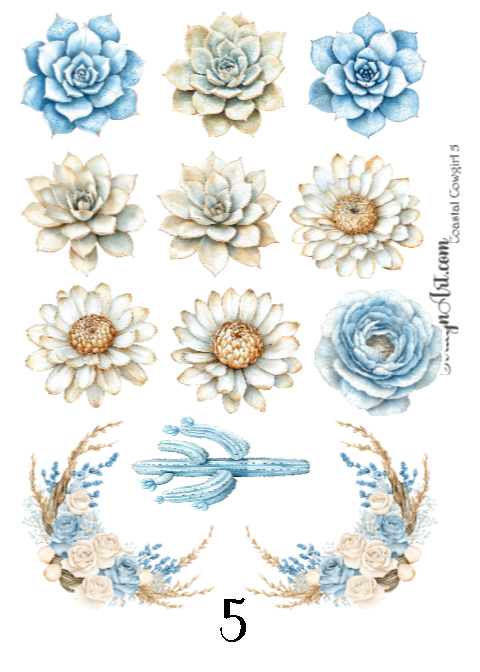 Coastal Cowgirl Collection
