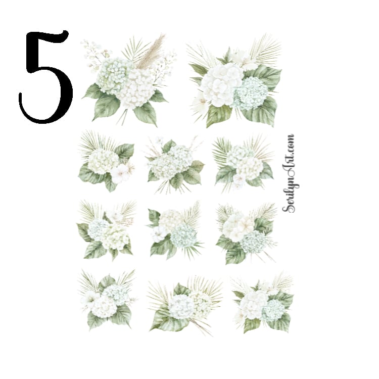 Coastal Serenity Collection