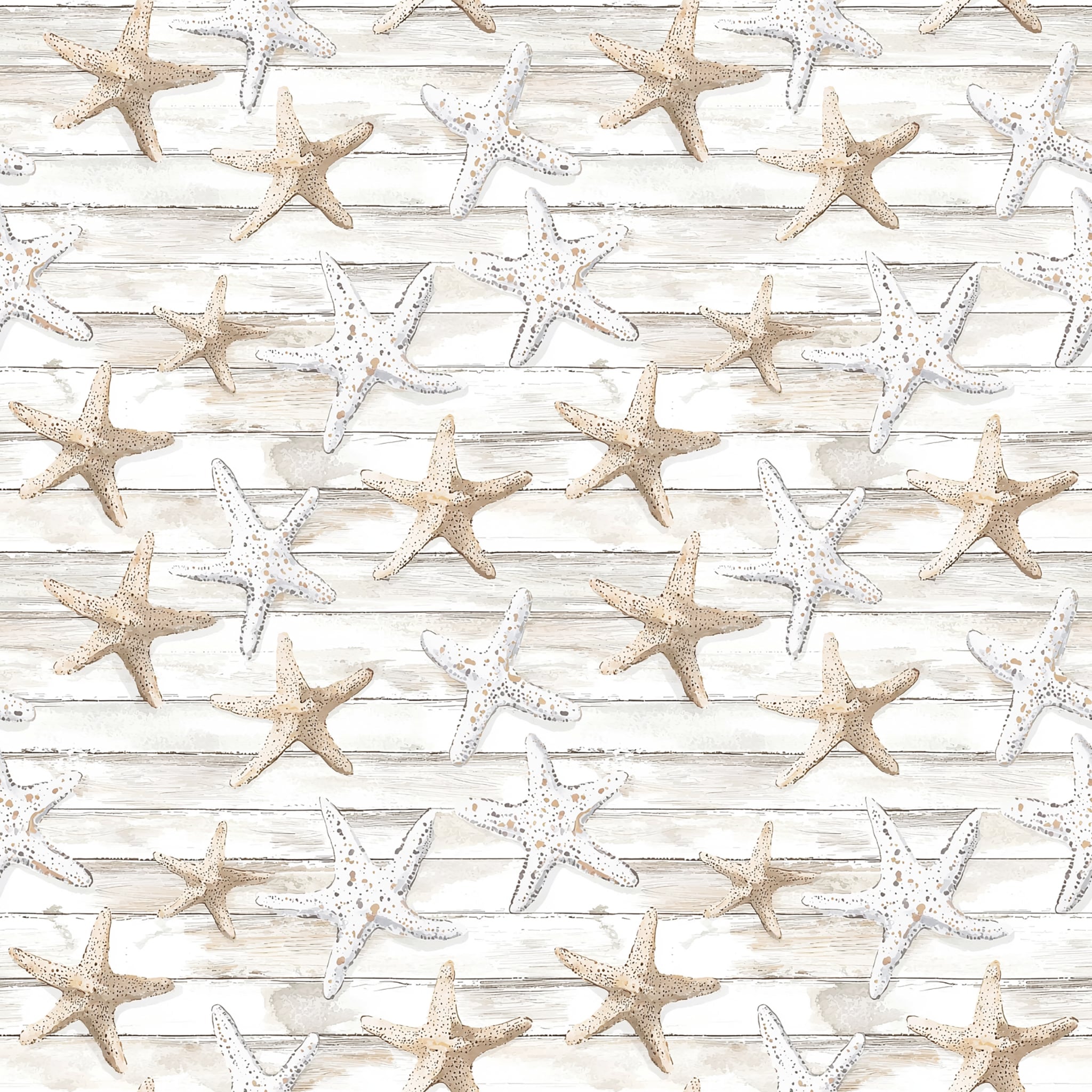 Coastal Serenity Collection