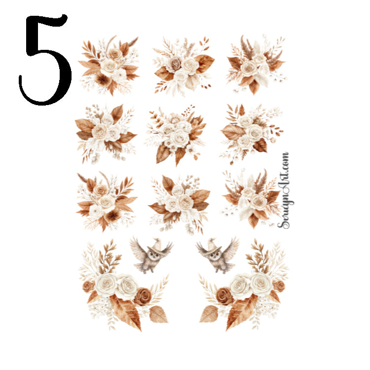 Cozy Haunt Collection