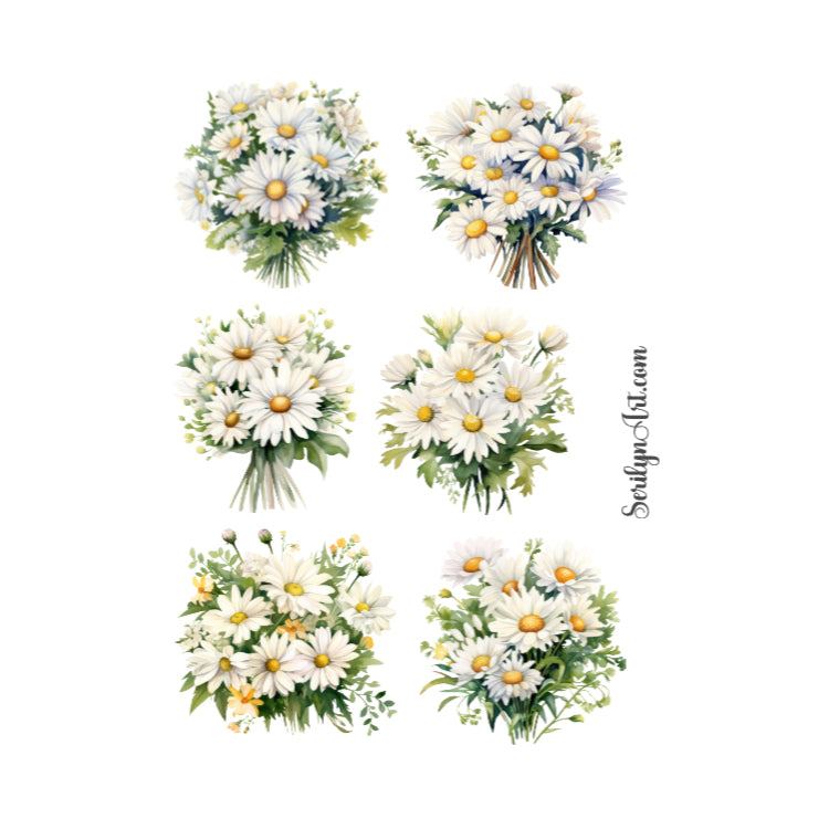 Daisies Sticker Sheet