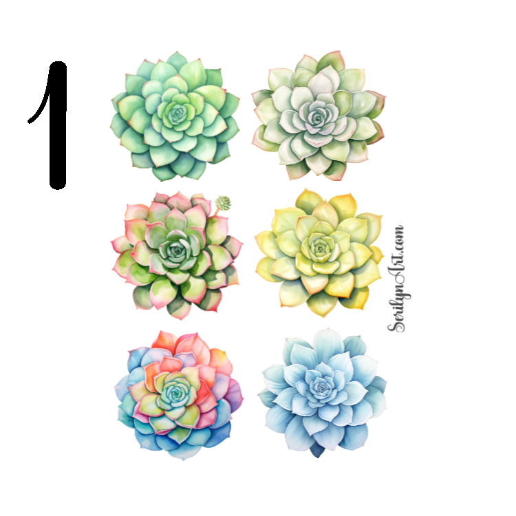 Echeveria Sticker Sheet