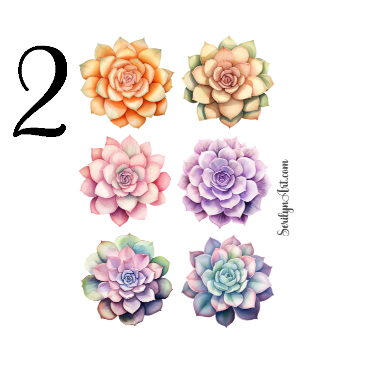 Echeveria Sticker Sheet