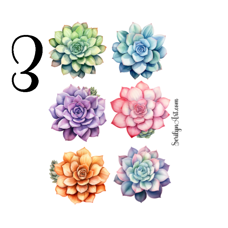 Echeveria Sticker Sheet