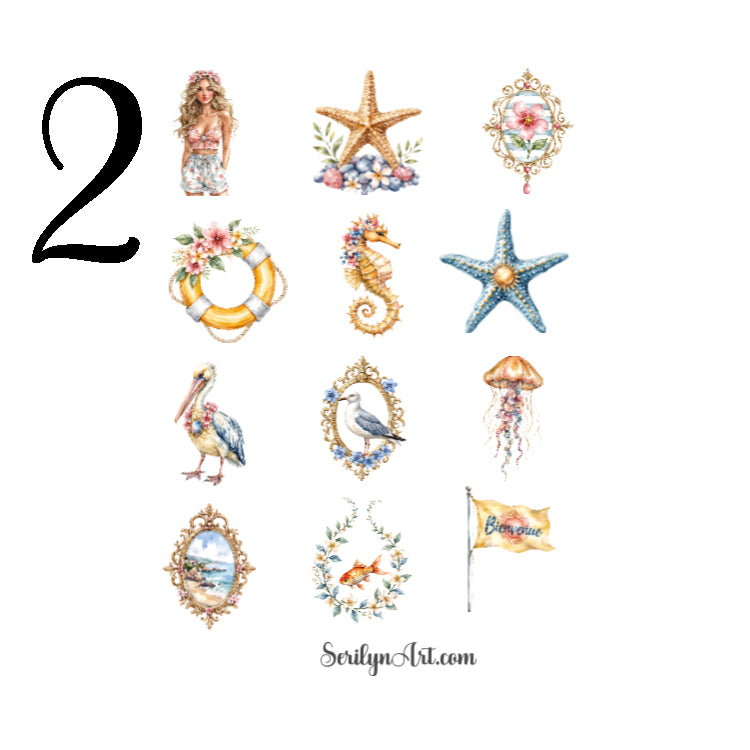 Etoile De Cote Sticker Sheet