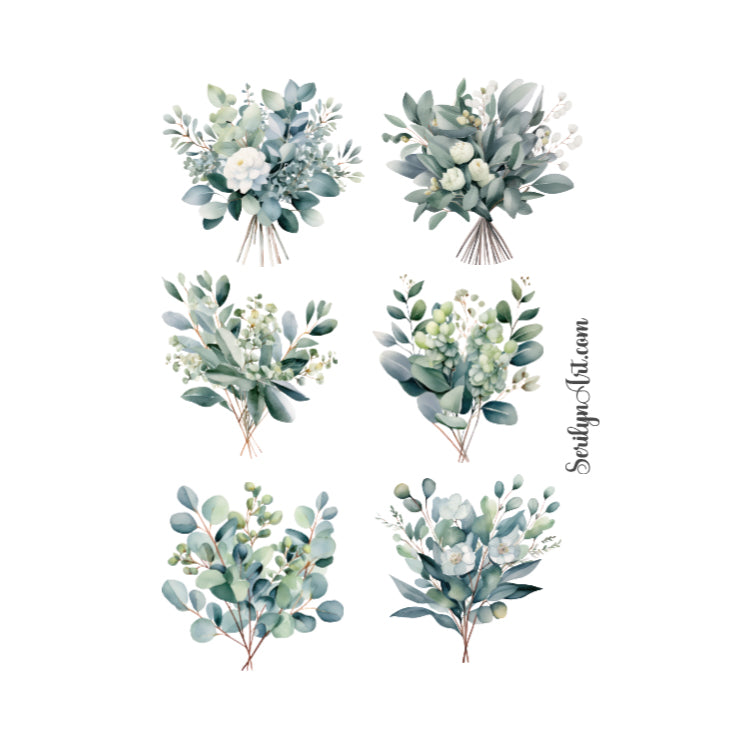 Eucalyptus Sticker Sheet