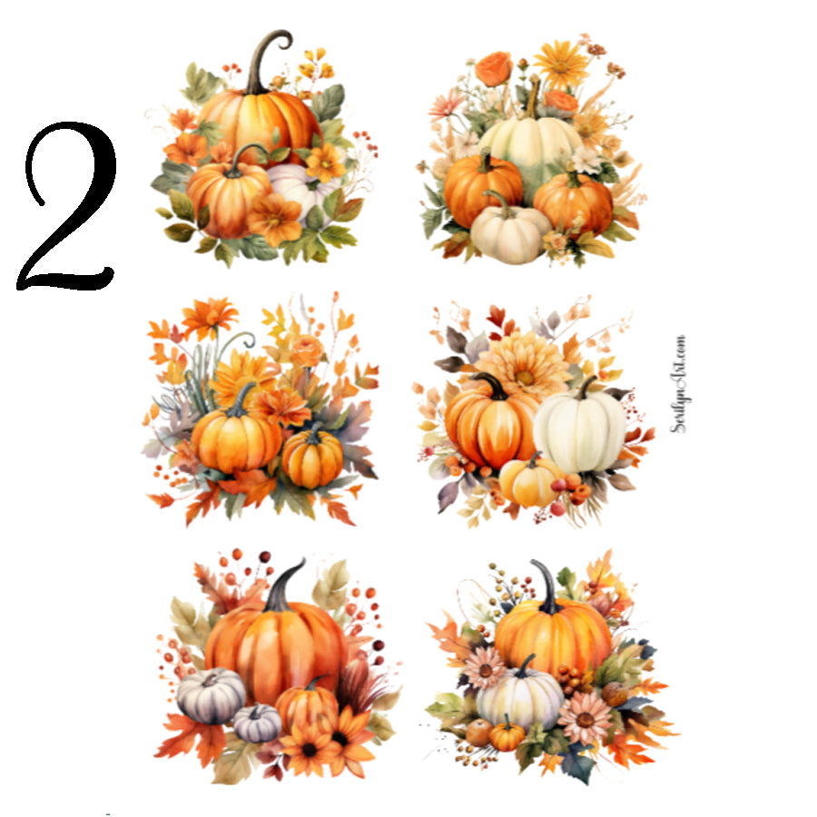 Fall Pumpkins Sticker Sheet