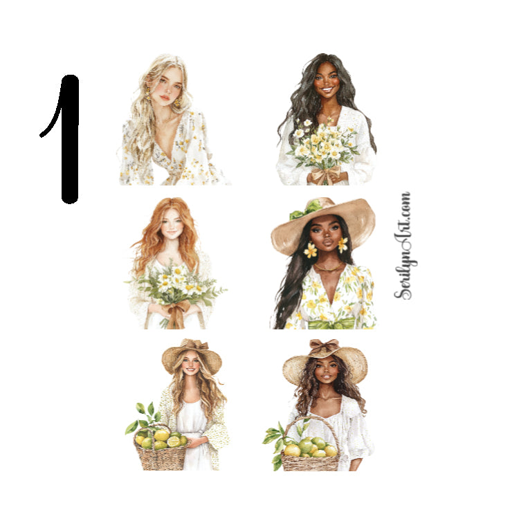 Fresh Essence Collection