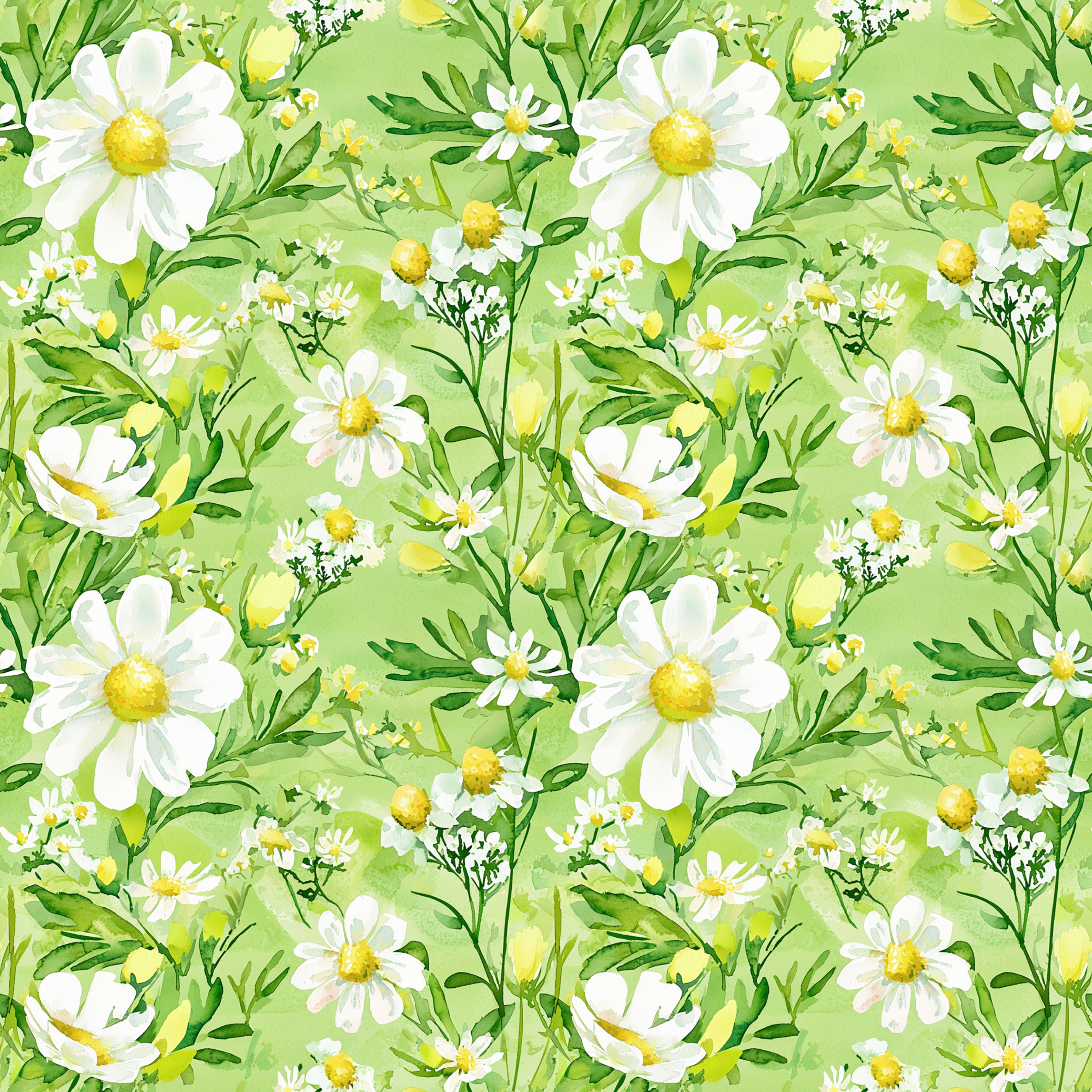 Fresh Essence Collection