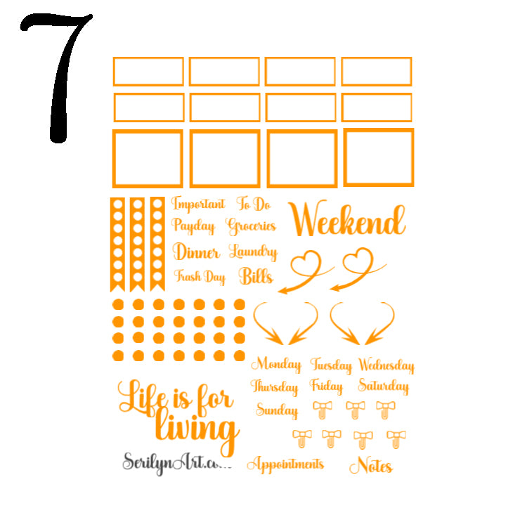 Fruit Salad Collection