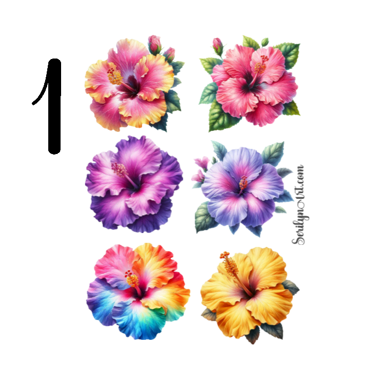 Hibiscus Sticker Sheet