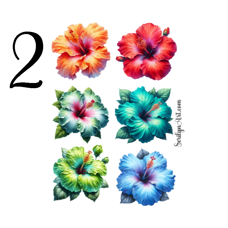 Hibiscus Sticker Sheet
