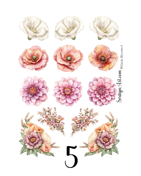 Hillside Blooms Collection