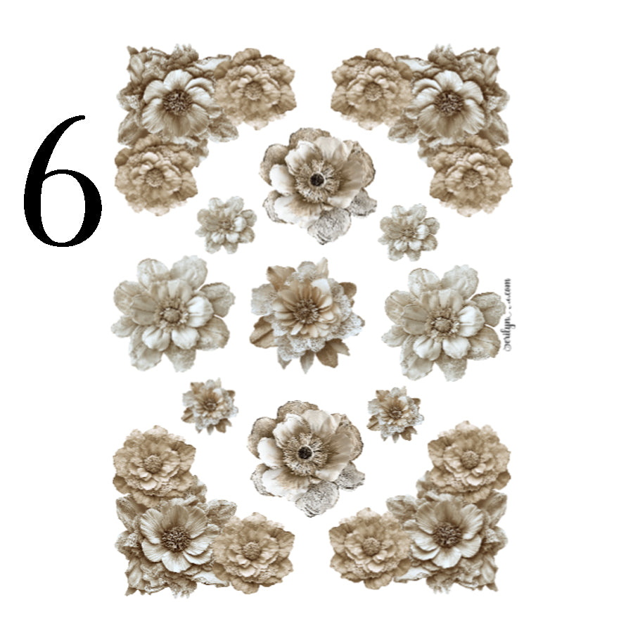 Love and Lace Collection