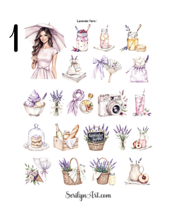 Lavender Farm