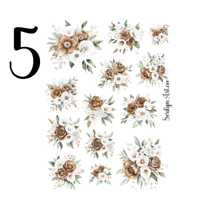 Mocha Spring Collection