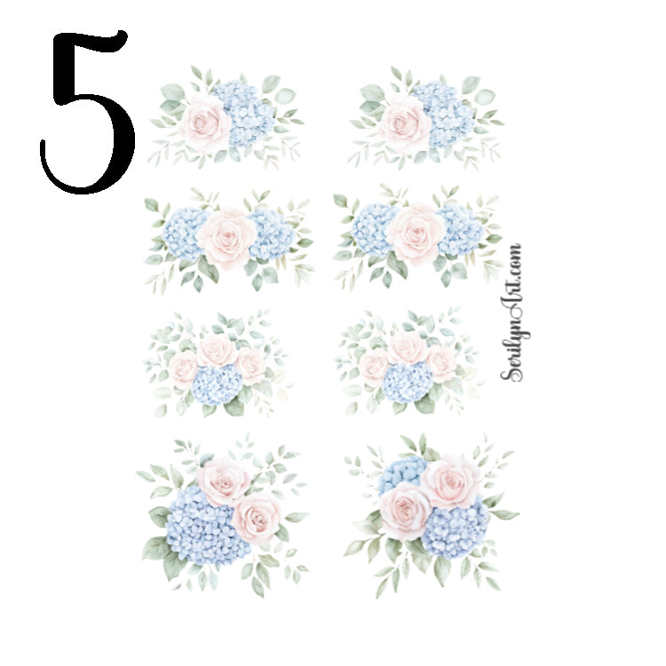 Modern Alice Collection