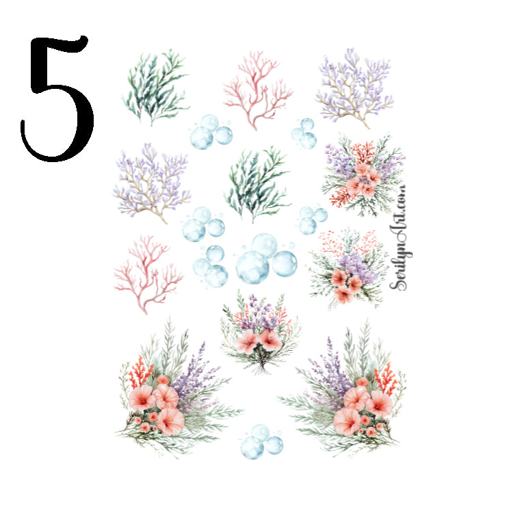 Modern Ariel Collection