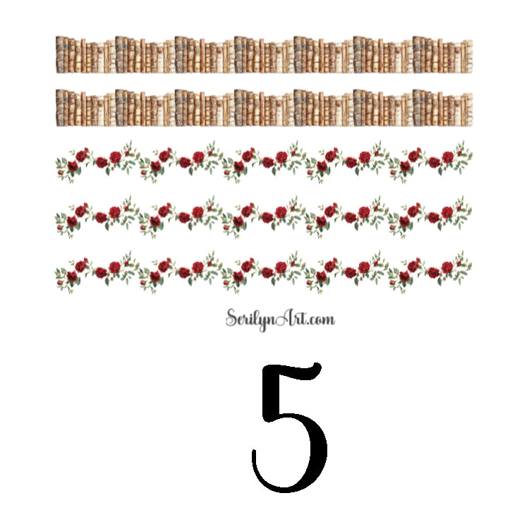 Modern Belle Collection