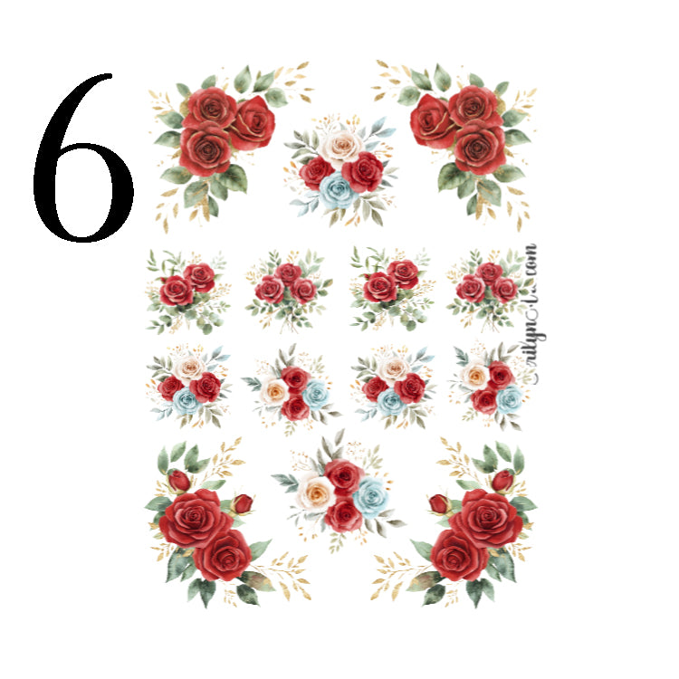 Modern Belle Collection