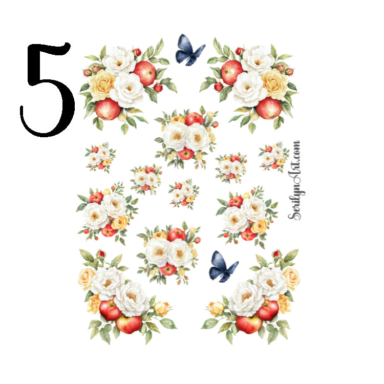 Modern Snow White Collection