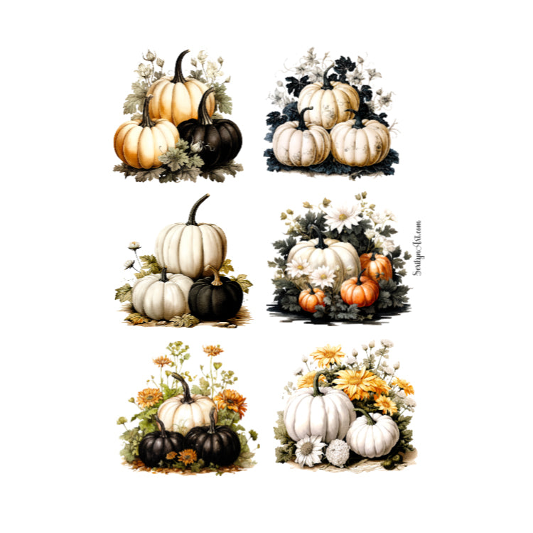 Neutral Pumpkins Sticker Sheet
