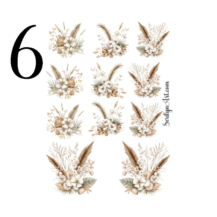 Collection Ocean Breeze