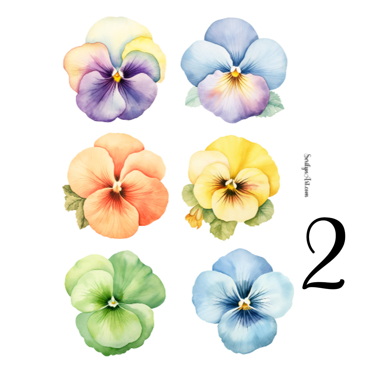 Pansies Sticker Sheet