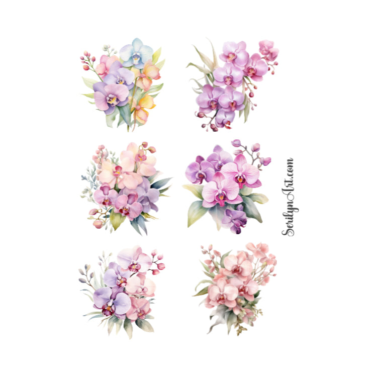 Pastel Orchids Sticker Sheet