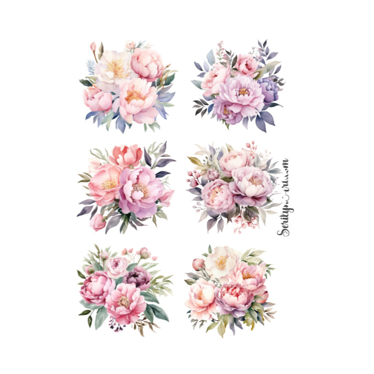 Pastel Peonies Sticker Sheet