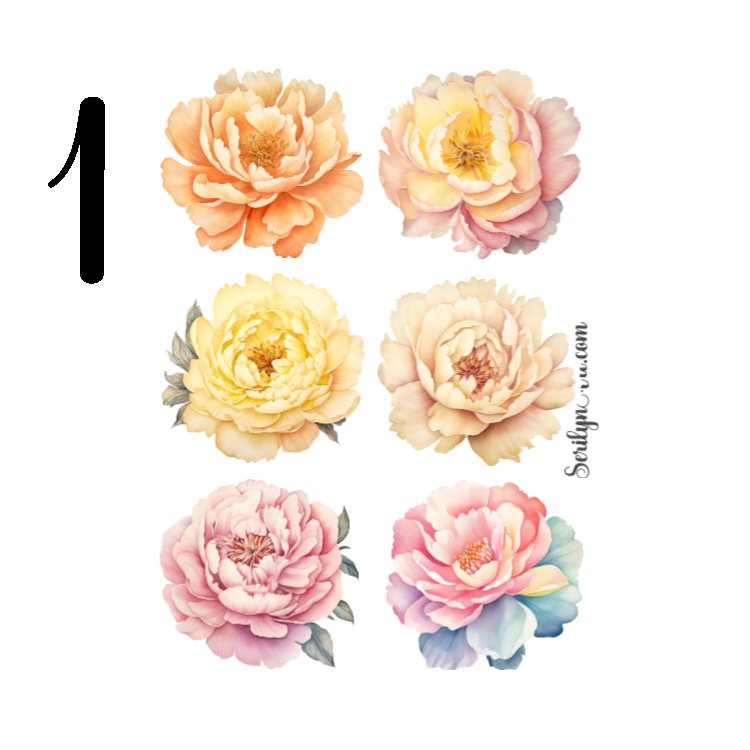 Peony Sticker Sheet