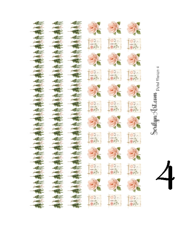 Petal Haven Collection