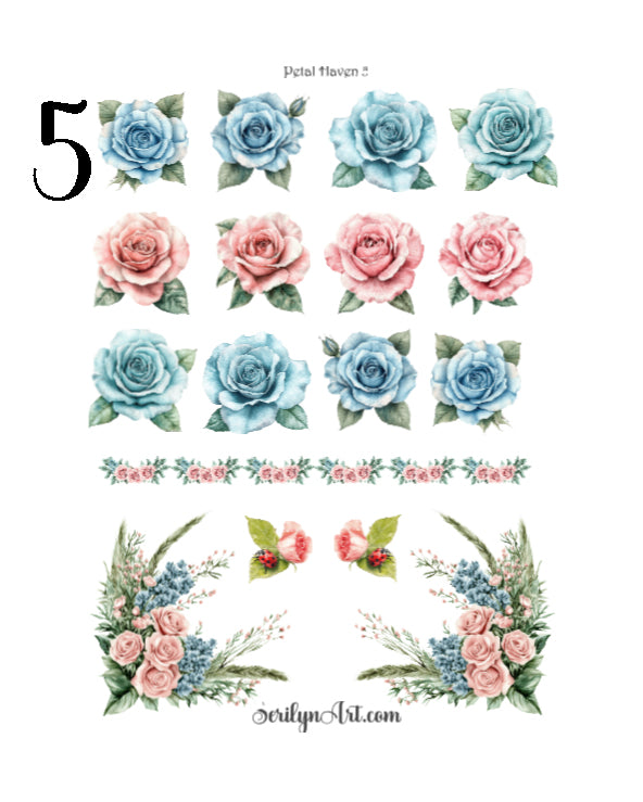 Petal Haven Collection