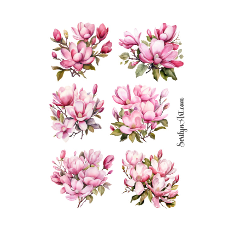 Pink Magnolias Sticker Sheet