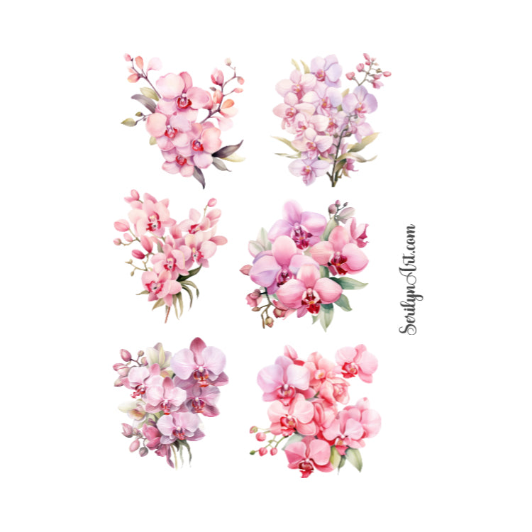 Pink Orchids Sticker Sheet